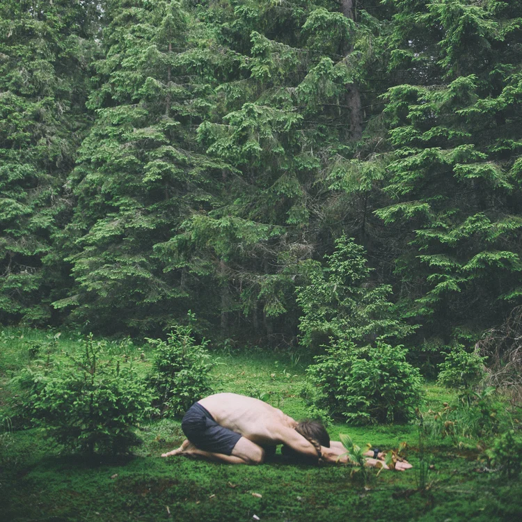 Pratique de Yin yoga en pleine nature.
